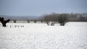 DSC_1066
